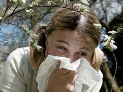 Alergiile de primavara ravasesc organismul