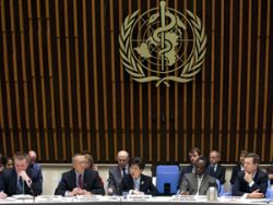 OMS ridica nivelul alertei la 5, o pandemie de gripa porcina fiind iminenta