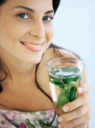 5 plante pentru o sanatate de fier: Ghimbir, Musetel, Merisor, Ginkgo, Ginseng