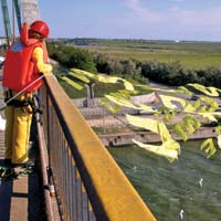 Protest Greenpeace la Agigea