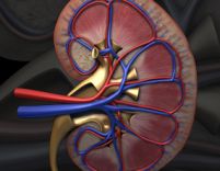 Tratamentul cu Sunitab prelungeste cu doi ani viata pacientilor care au cancer la rinichi in ultima faza