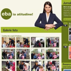 Elena Basescu si-a facut un blog pentru campania electorala