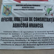 Ordonanta 37 este contestata in instanta de foarte multi fosti sefi