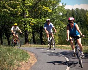 Mersul pe bicicleta dauneaza calitatii spermei