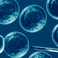 Ministerul Sanatatii va infiinta, in Bucuresti, Registrul National al Donatorilor de Celule Stem