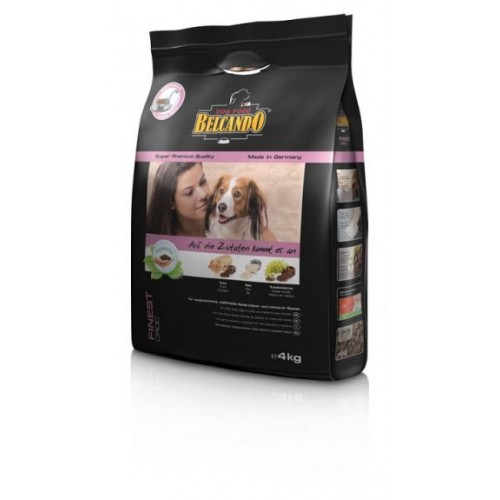 La Petshopexpres.ro gasiti mancare pentru caini de cea mai buna calitate