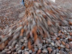 Boabele de cacao, folositoare impotriva hipertensiunii arteriale