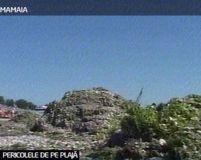 Cutremurul de saptamana trecuta a adus tone de alge la mal