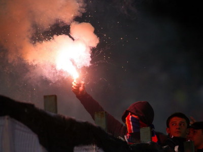 Fanii Stelei i-au macelarit pe caini! 