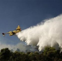 Un albanez si-a incendiat nevasta si a aprins o padure din Grecia