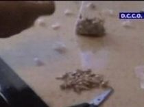 Argentina si Mexicul nu mai pedepsesc cu inchisoarea consumul sau detinerea unor cantitati mici de droguri