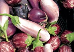 Vinetele, arma secreta a dietelor de slabit