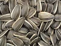 Steaua a interzis consumul de seminte pe stadion