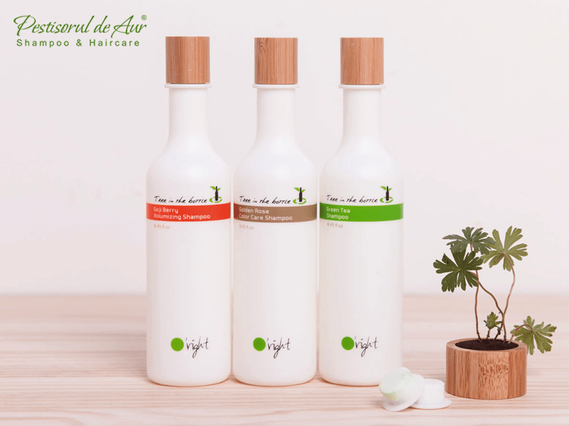 UTA - POLI TIMISOARA 1-2 LIVE VIDEO ONLINE 2017: Barajul pentru LIGA 1