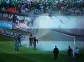 Meciul dintre Mexic si El Salvador a fost intrerupt din cauza unui roi de albine ucigase