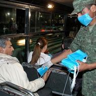 Un european din trei va fi afectat de gripa porcina