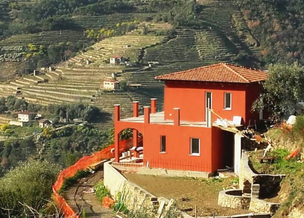 Care sunt avantajele pe care le prezinta casele din lemn?