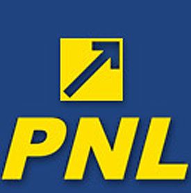 Conditiile PNL: Johannis premier, cota unica si reducerea impozitelor