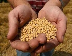 Soia previne cancerul de colon