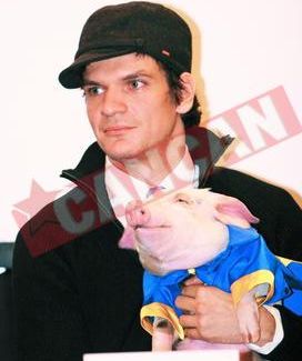 Purcelusii de companie fac furori printre vedetele din Romania