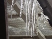 Iasi:Un barbat murit, dupa ce i-a cazut in cap un turture