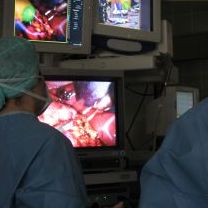 S-a descoperit un anticorp care lupta impotriva tumorilor prostatei