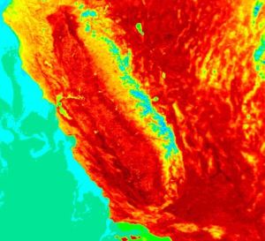 2010 ar putea fi unul dintre cei mai calzi ani din istorie