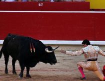 Catalunia interzice coridele din luna mai