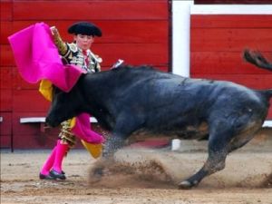 Toreador de 12 ani, luat in coarne de un taur