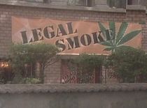 Boc solicita scoaterea in afara legii a plantelor etnobotanice