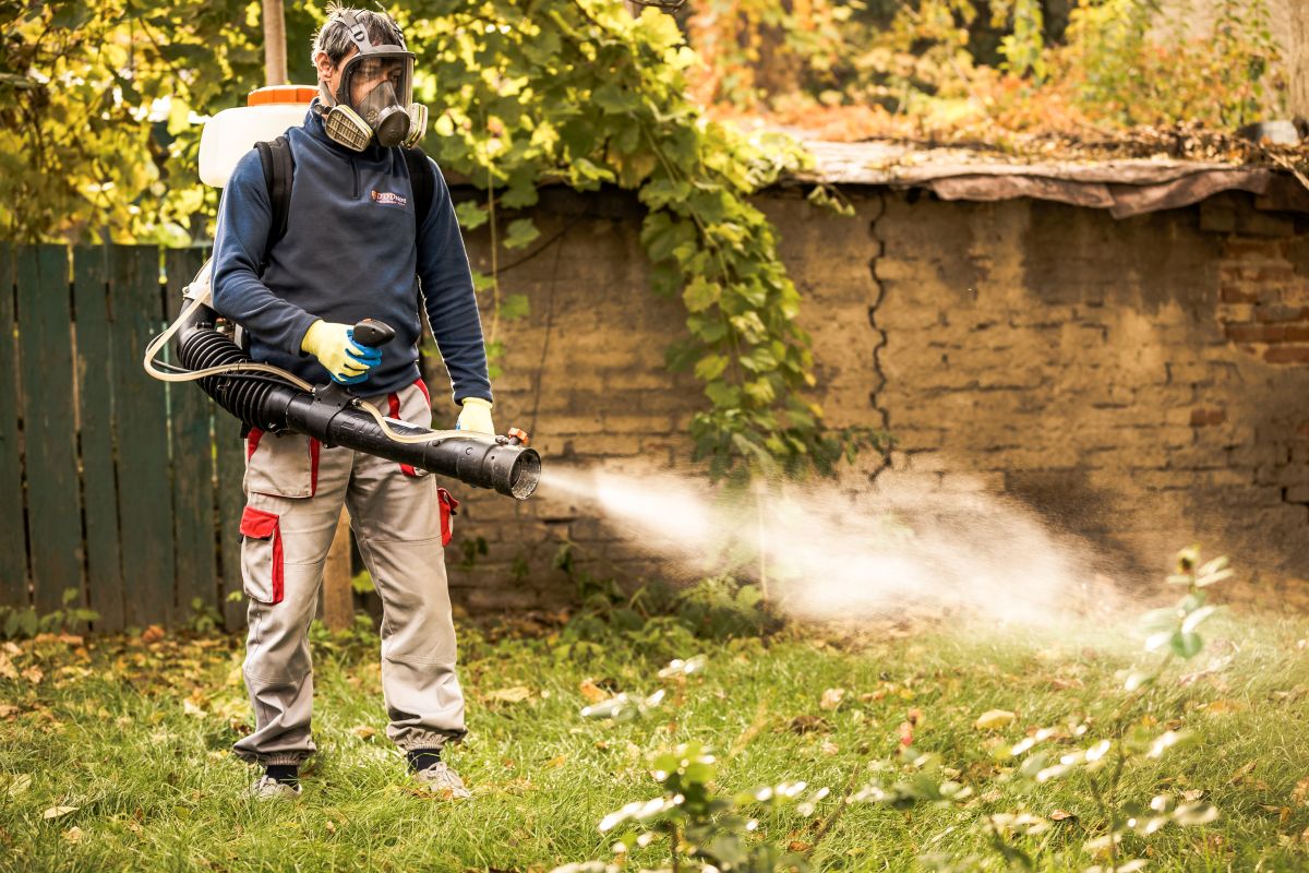 Totul despre lucrarile de deratizare si dezinsectie