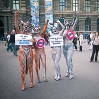 Protest al activistilor PETA, la Paris