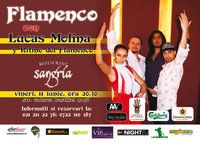 Flamenco con Lucas Molina y Ritmo del Flamenco la Sangria