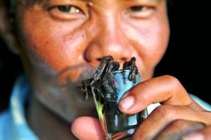 Cocktail cu alcool si tarantule vii pentru cresterea perfomantelor sexuale