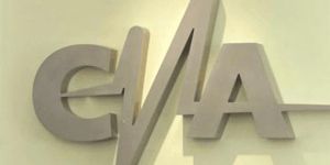 CNA a amendat 5 televiziuni in cazul sinuciderii Madalinei Manole