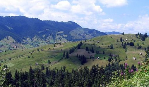 Anul si sloganul pentru turismul romanesc: Explore the Carpathian garden