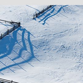 Un elev din Vaslui a degerat in drum spre scoala