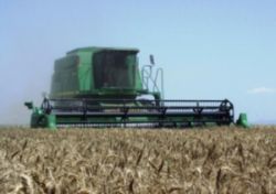 Comisia Europeana acorda Romaniei o luna pentru remedierea problemelor din agricultura