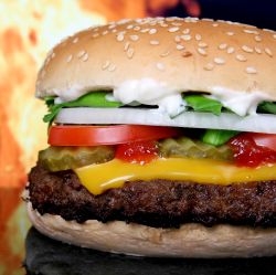 Copiii care consuma fast food sunt mai putin inteligenti