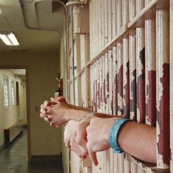 Cinci tineri din Braila au omorat o batrana pentru 2 lei, un telefon mobil si 8 gaini