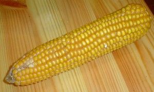 A ajuns la spital cu un stiulete de porumb in fund