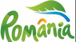 Lucian Bute va boxa Magee avand frunza Elenei Udrea pe echipament