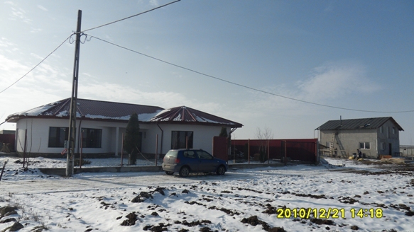 Mii de romani s-au calcat in picioare pentru un kilogram de zahar la promotie