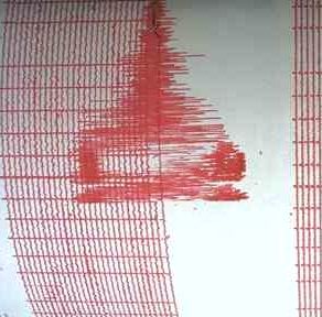 Cutremur de 4,9 grade in Romania