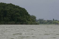 Un junior din lotul national de rugby s-a inecat in Lacul Snagov