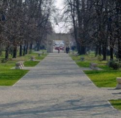 Opera lui Constantin Brancusi va fi inclusa pe lista monumentelor UNESCO