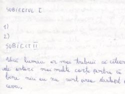 Lucrare de nota 1 la Bac: Ma batut mama cu facaletu ca am sunat la fetite