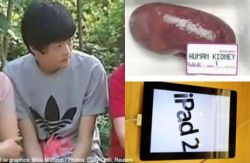 Un adolescent chinez si-a vandut un rinichi pentru un iPad