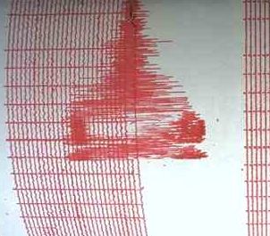 Un seism de 4,4 grade pe scara Richer s-a produs in zona Vrancea