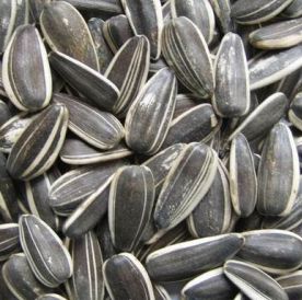 Romania, pe locul 2 in lume la consumul de seminte